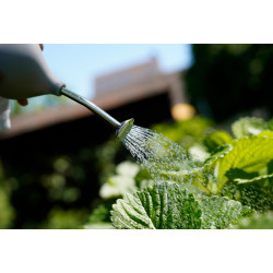 Ballbrause – Sanfte Bewässerung für Keimlinge & Jungpflanzen