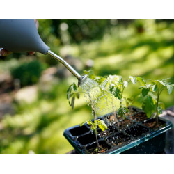 Ballbrause – Sanfte Bewässerung für Keimlinge & Jungpflanzen