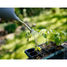 Ballbrause SeedBooster®